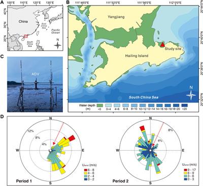 Sensitivity of sheltered mudflats to wind events